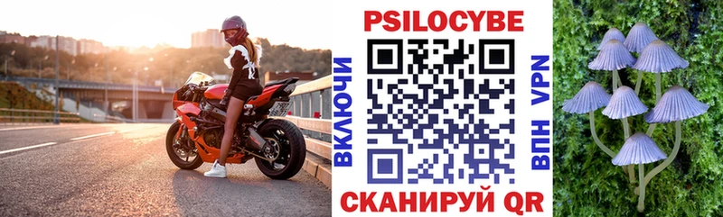 Псилоцибиновые грибы ЛСД  Порхов 